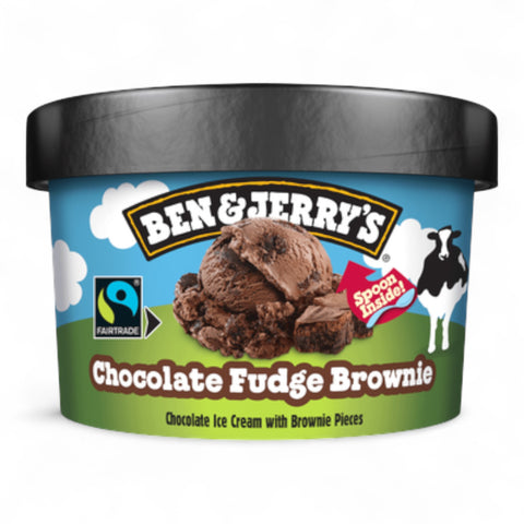 Ben & Jerry Ice Cream Chocolate Fudge Brownie 100mL