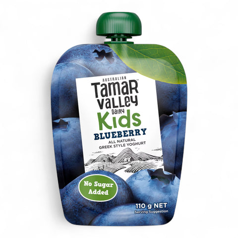 Tamar Valley Dairy Kids Greek Yoghurt Pouch Blueberry 110g