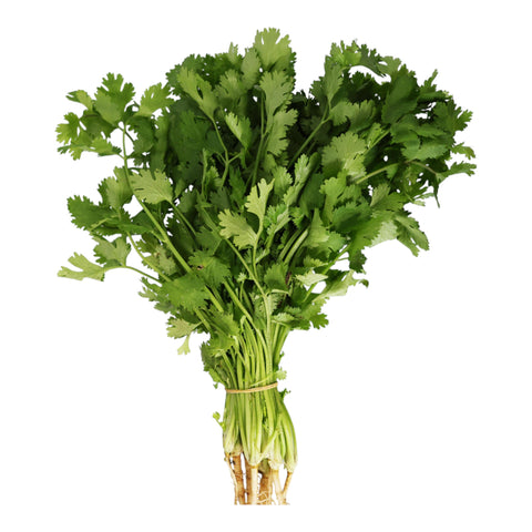 Fresh Herb Organic Coriander Bunch