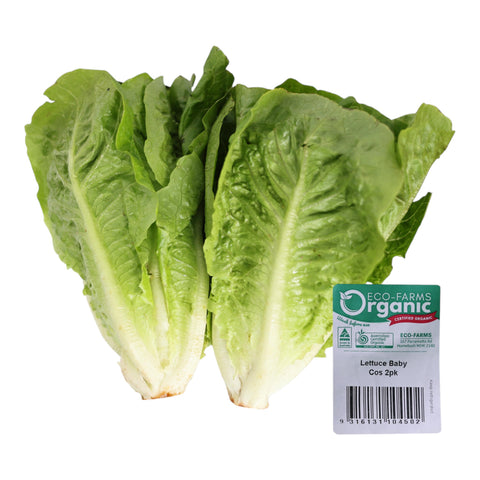 Eco Farms Organic Lettuce Baby Cos 2 Pack